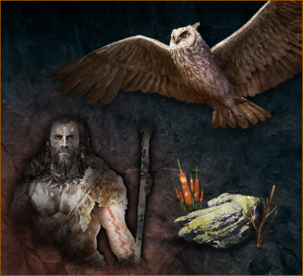 Far Cry Primal ファークライ プライマル 数量限定 店舗別特典 Ubisoft